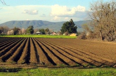 Picture 0 for Φορολογία εισοδήματος αγροτικών επιχειρήσεων 