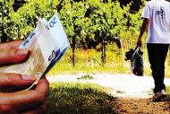 Ε3 : Όσοι δηλώνουν εισόδημα από αγροτική επιχειρηματική δραστηριότητα, αλλά δεν εντάσσονται στο κανονικό ή ειδικό καθεστώς ΦΠΑ ποιον ΚΑΔ συμπληρώνουν;