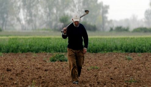 Picture 0 for Αγρότες: Στις αρχές της επόμενης εβδομάδας η πλατφόρμα για την έξτρα αποζημίωση των 10.000€