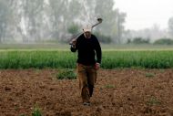 ΕΛΓΑ: Αύριο Τρίτη η πληρωμή αποζημιώσεων - Οι δικαιούχοι