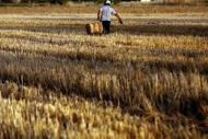 Επιδότηση ύψους 20.000 ευρώ για ένταξη στο πρόγραμμα νέων αγροτών