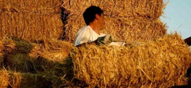 Picture 0 for Πριμ 50.000 ευρώ σε νέους αγρότες και κτηνοτρόφους για επιστροφή στην ύπαιθρο