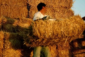Παράταση για την πληρωμή των εισφορών του ΟΓΑ